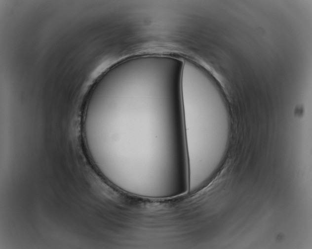 X0000101401459200807071018