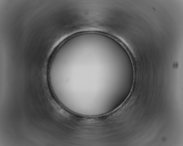 X0000101401460200807071018