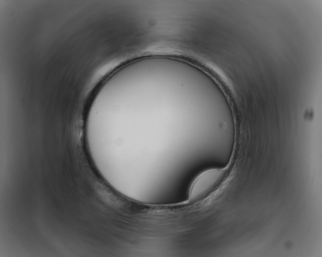 X0000101401461200807071018