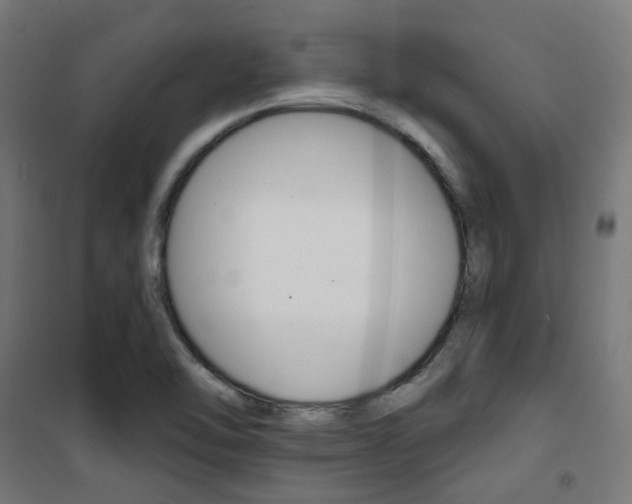 X0000101401462200807071018