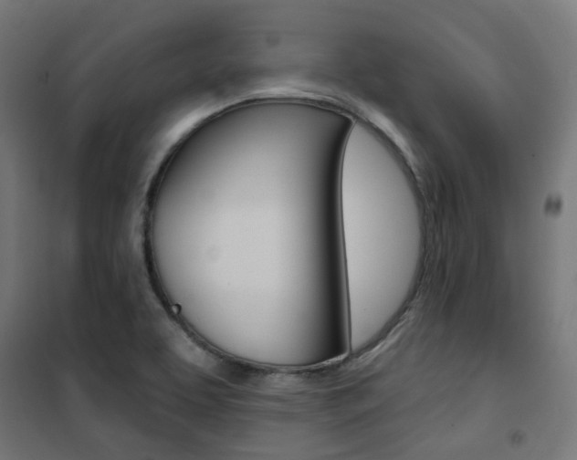 X0000101401463200807071018