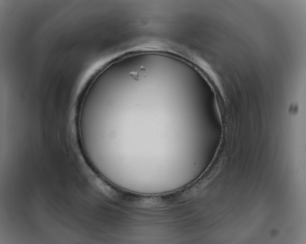 X0000101401464200807071018