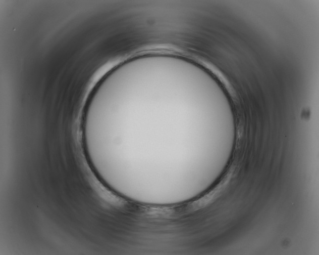 X0000101401466200807071018