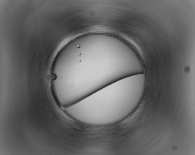 X0000101401467200807071018
