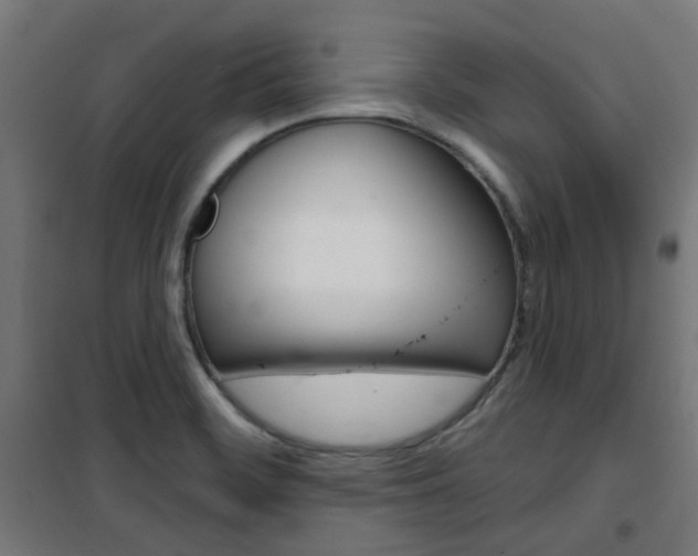 X0000101401468200807071018