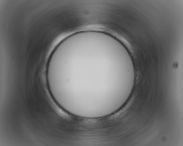 X0000101401470200807071018