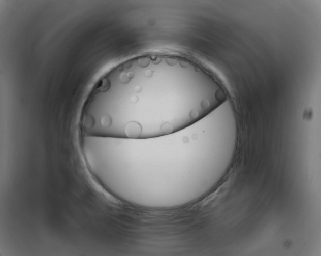 X0000101401471200807071018