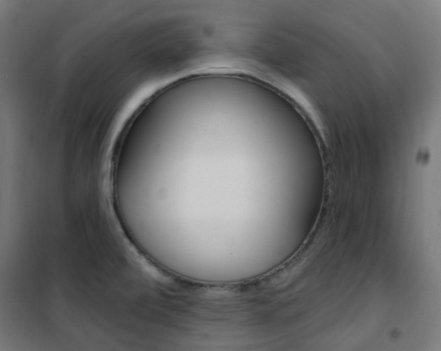X0000101401472200807071018