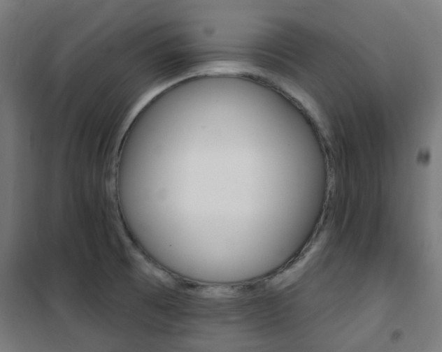 X0000101401473200807071018