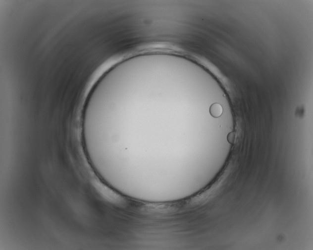 X0000101401474200807071018