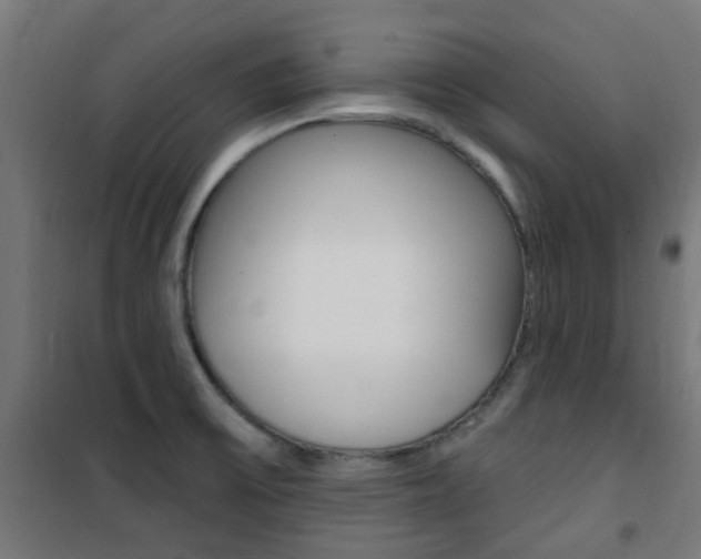 X0000101401475200807071018