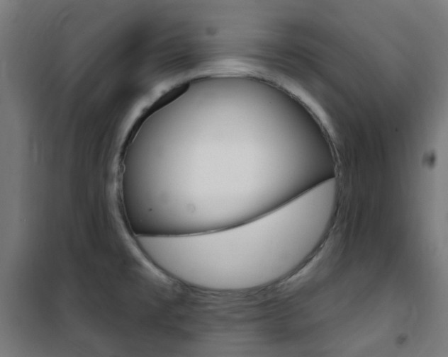 X0000101401477200807071018