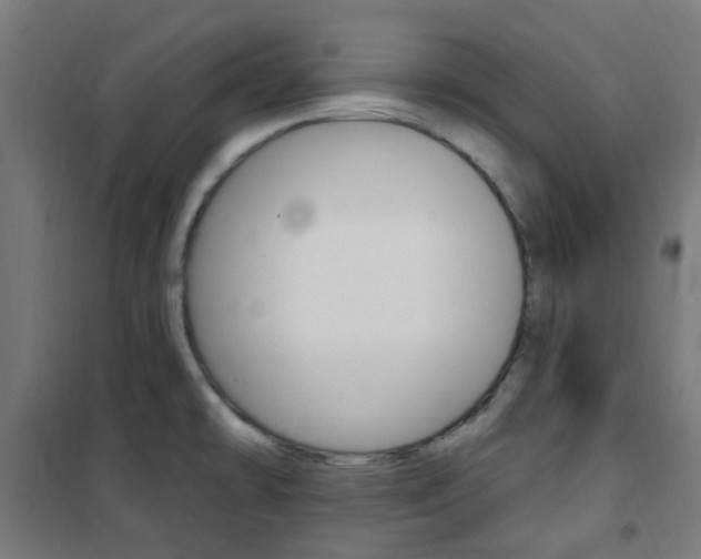 X0000101401478200807071017