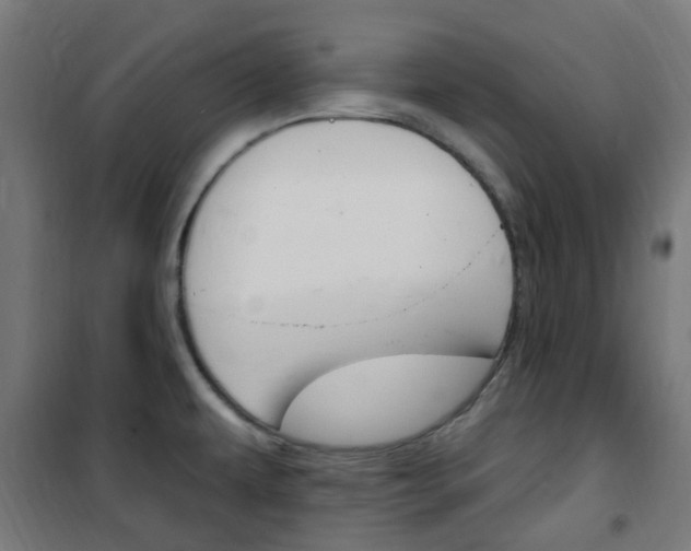 X0000101401479200807071017