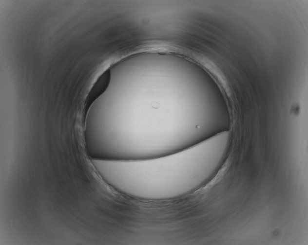 X0000101401481200807071017