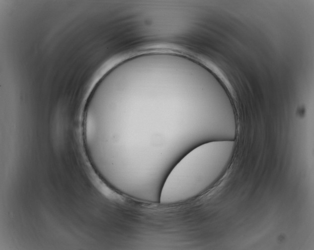 X0000101401482200807071017