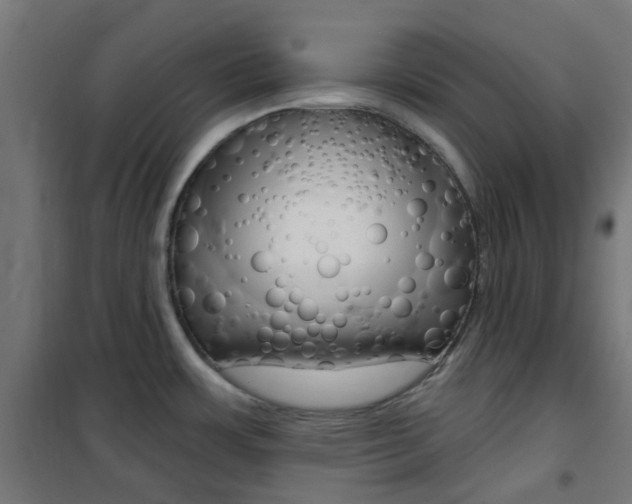X0000101401483200807071017