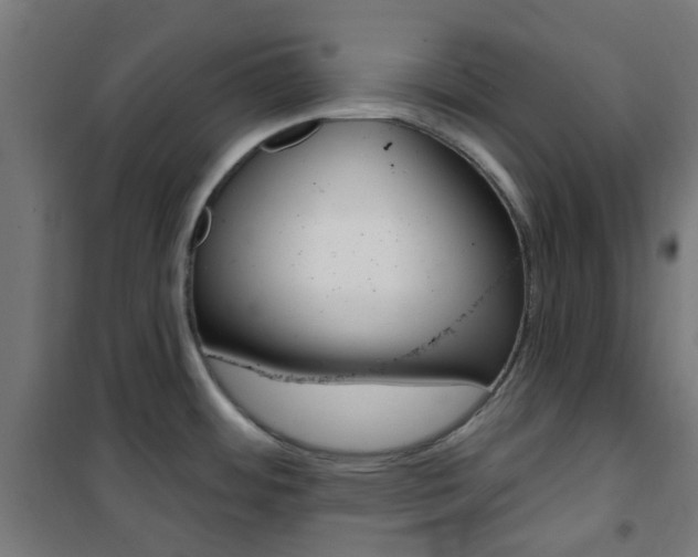 X0000101401484200807071017