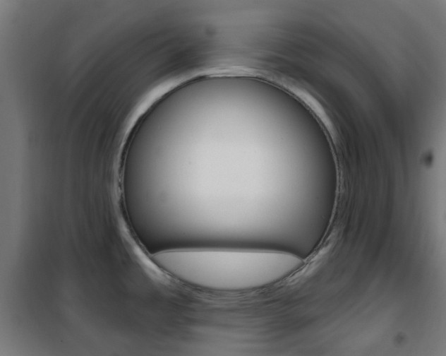 X0000101401485200807071017
