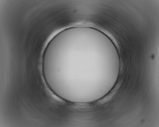 X0000101401486200807071017