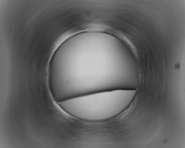 X0000101401487200807071017