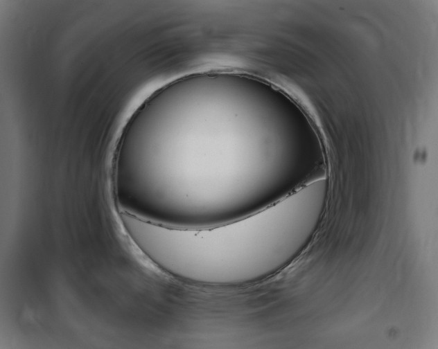 X0000101401488200807071017