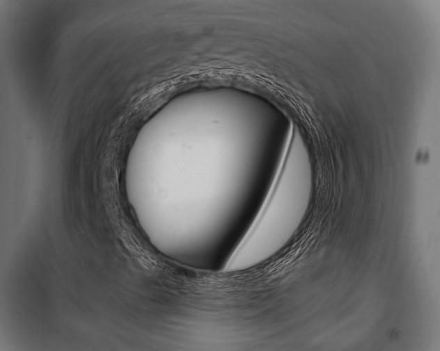 X0000101401489200807071017