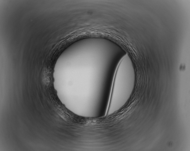 X0000101401490200807071017