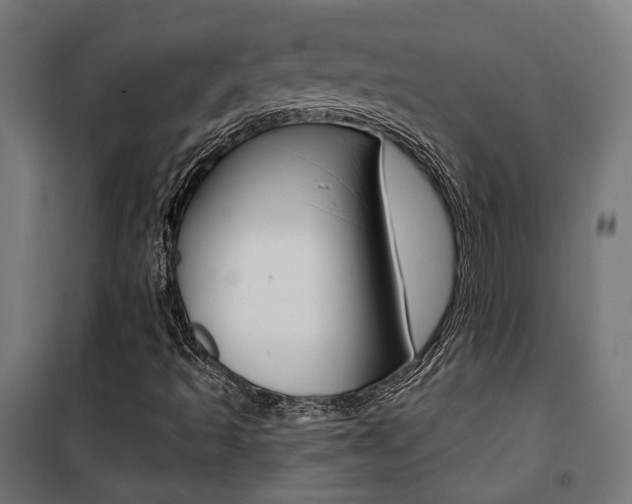 X0000101401493200807071017