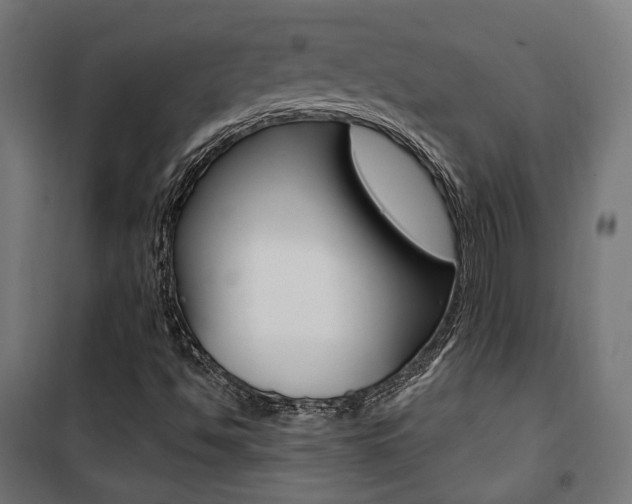 X0000101401494200807071017