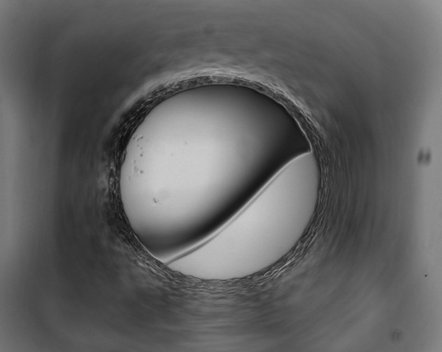 X0000101401495200807071017