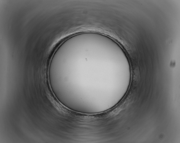 X0000101401499200807071017