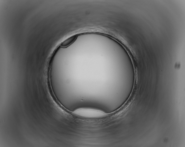 X0000101401500200807071017