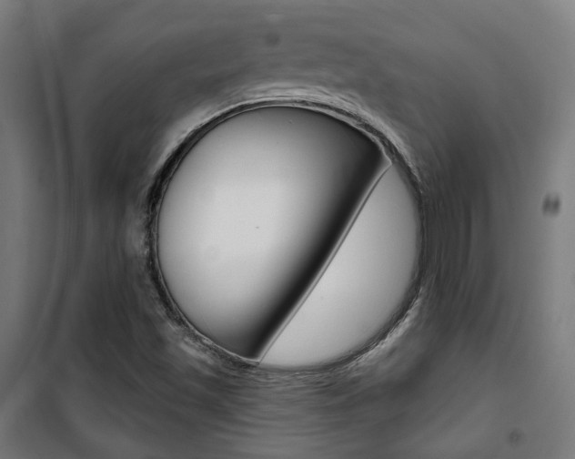 X0000101401501200807071017