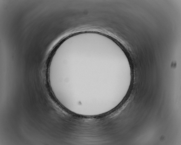 X0000101401502200807071017