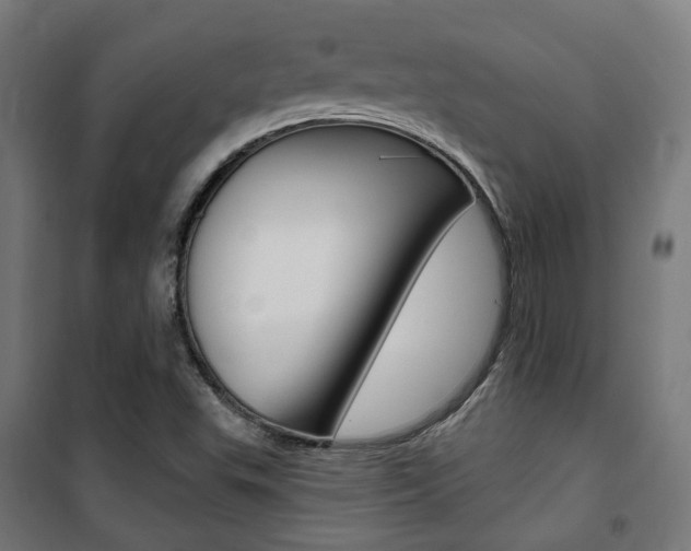 X0000101401503200807071017
