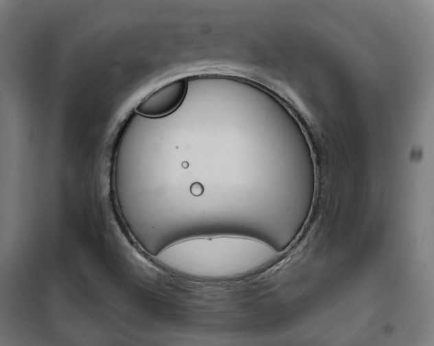 X0000101401504200807071017