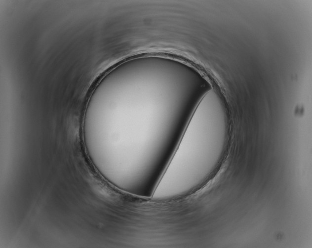 X0000101401505200807071017