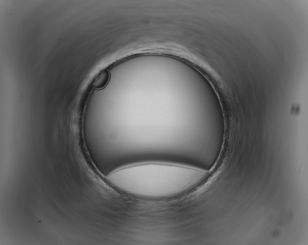 X0000101401506200807071017