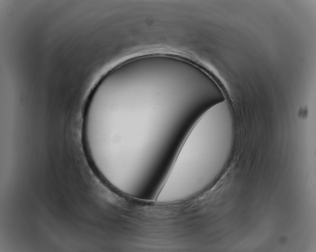 X0000101401508200807071017