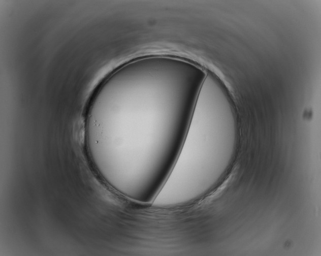 X0000101401509200807071017