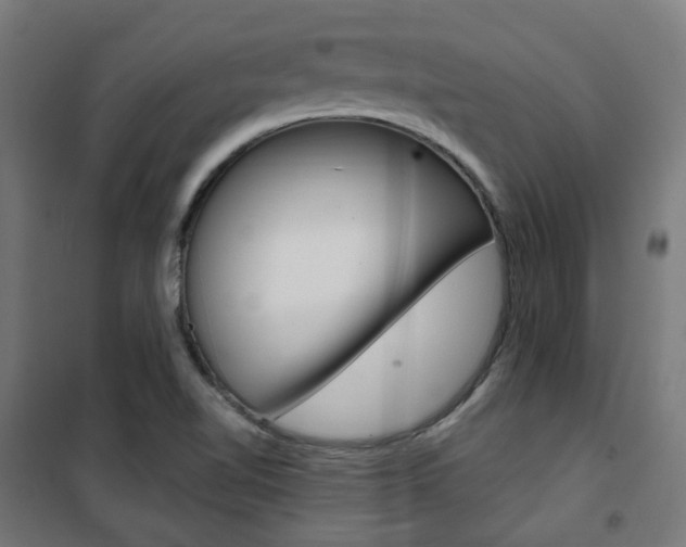 X0000101401510200807071017
