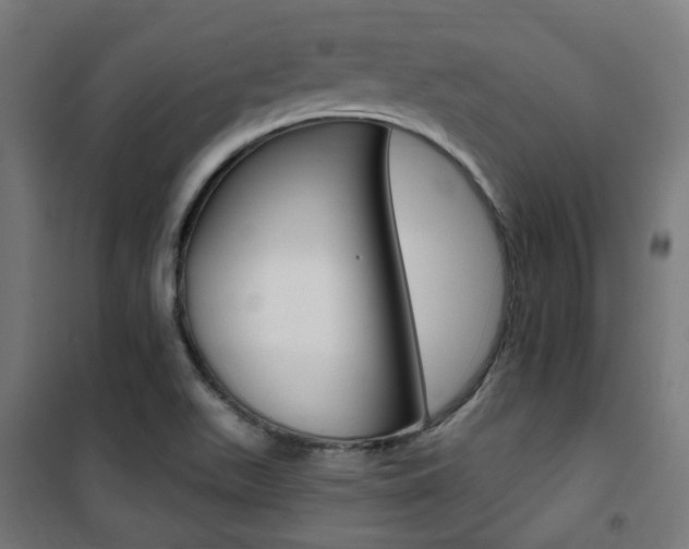 X0000101401511200807071017