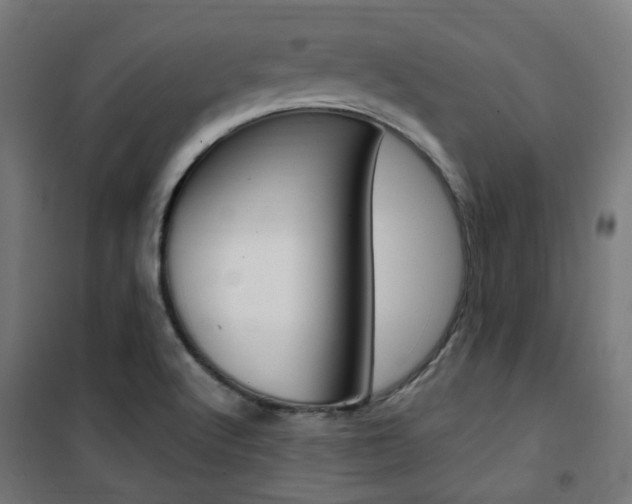 X0000101401512200807071017