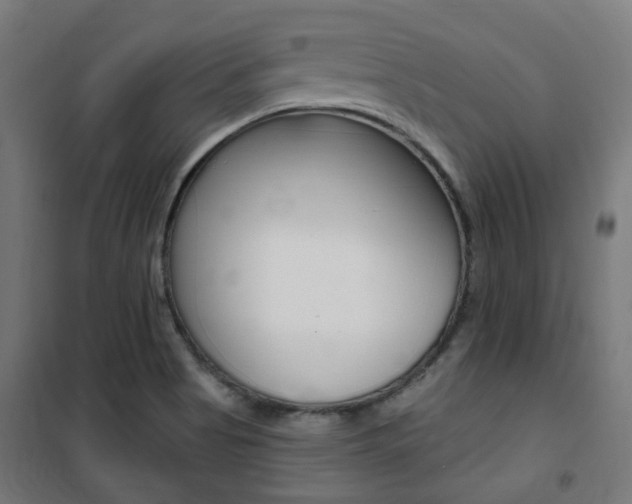 X0000101401513200807071017