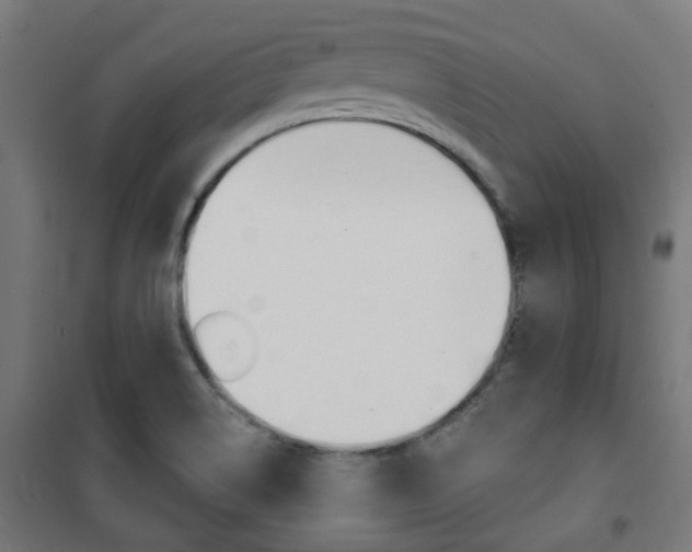 X0000101401514200807071017
