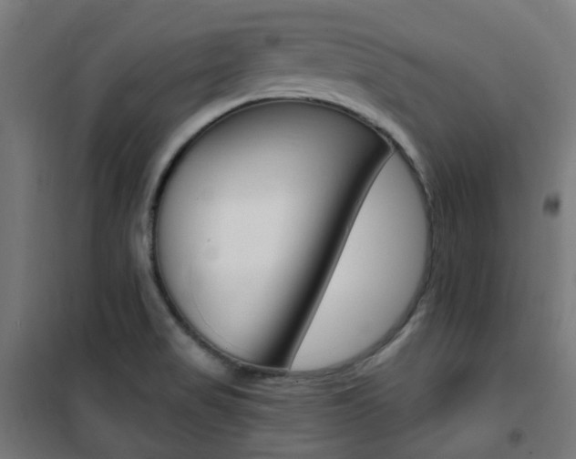 X0000101401517200807071017