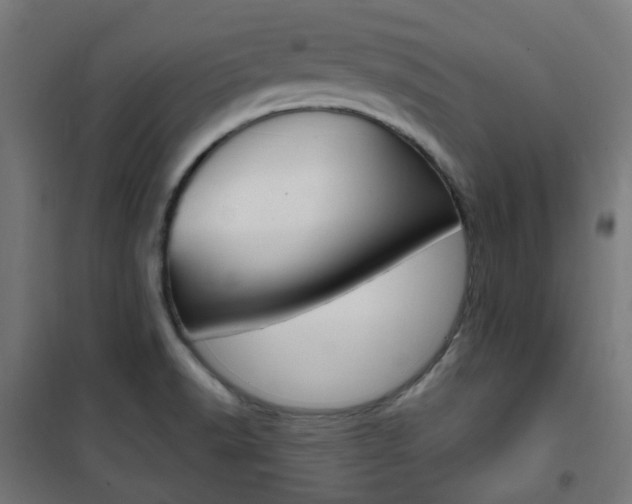 X0000101401518200807071017