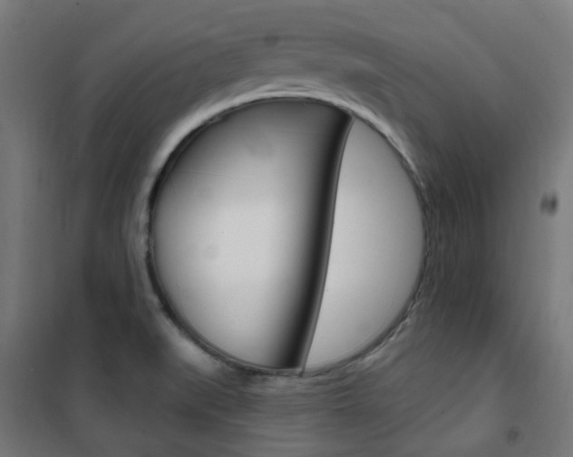 X0000101401519200807071017