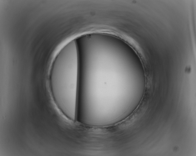 X0000101401520200807071017